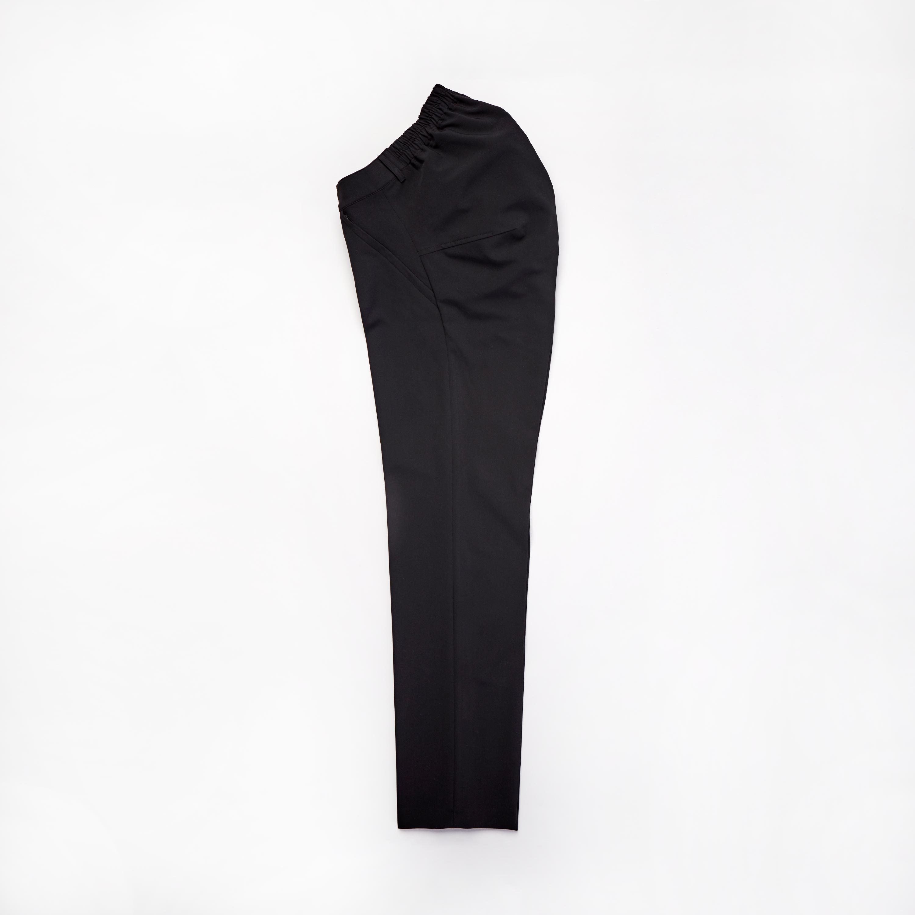 Seated Dress Pant